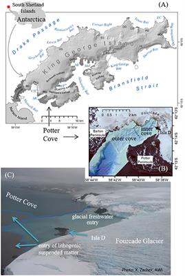Ensemble Modeling of Antarctic Macroalgal Habitats Exposed to Glacial Melt in a Polar Fjord